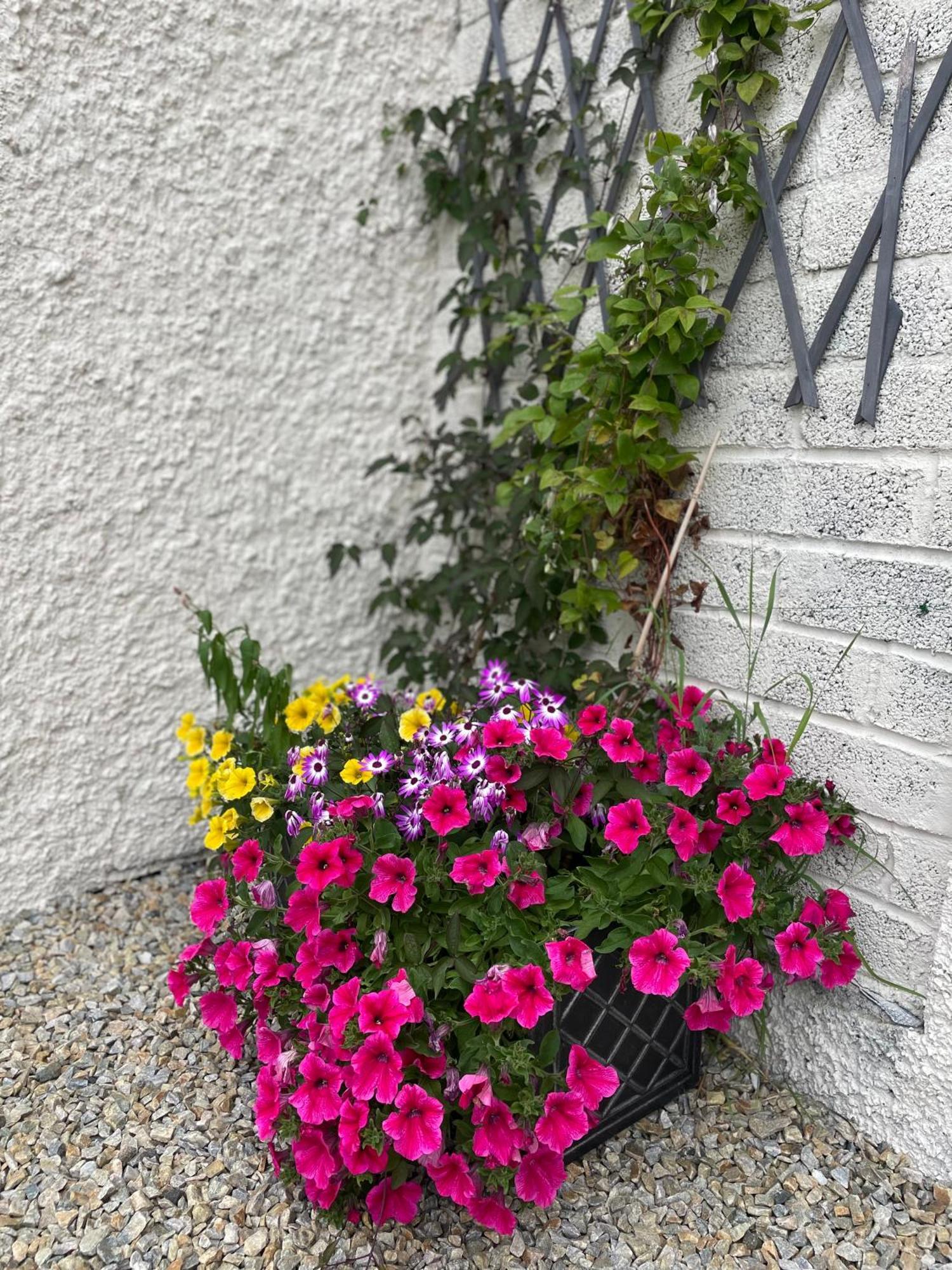 Family And Pet Friendly Farm Stay Ballyshannon Exterior photo